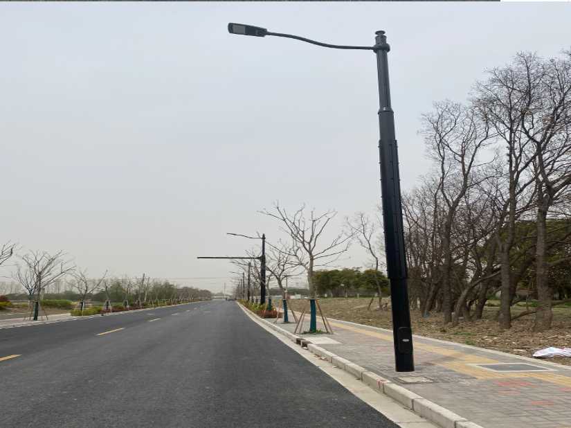 广州市上海综合杆 太阳能路灯工程